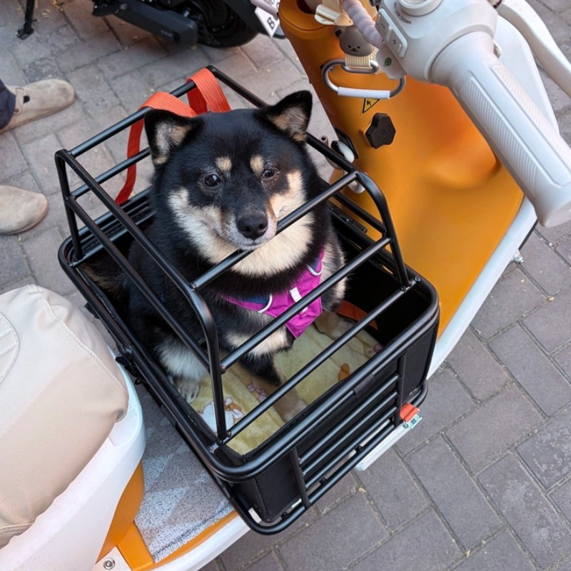 Electric Scooter Dog Basket fo - Travel Accessories Bike avis et prix