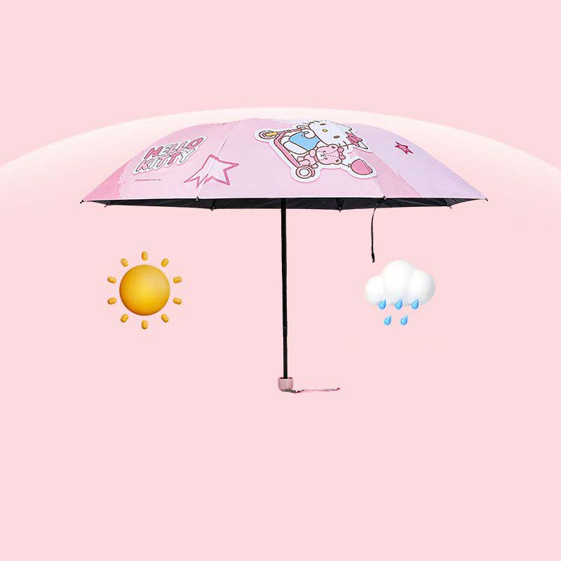 Hello Kitty Sanrio Licensed Fo - Travel Accessories Pink avis et prix